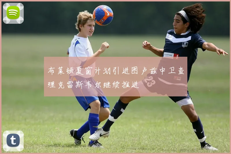 布莱顿夏窗计划引进图卢兹中卫查理克雷斯韦尔继续推进