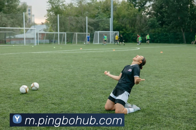 平博体育平台生态图