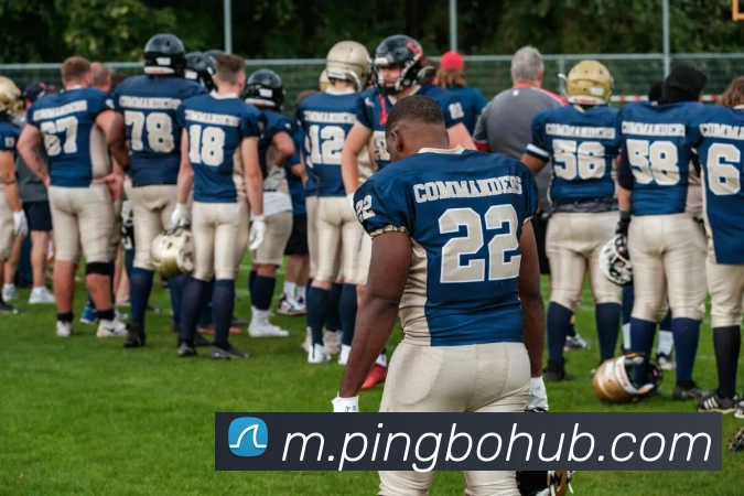 平博体育APP 封面图